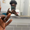 _rxckzasha