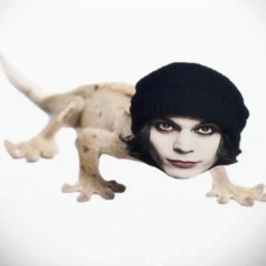 Shane BS