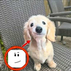 music:on    jerk:off