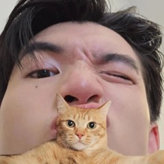 Vaneagain