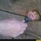 bro hammer