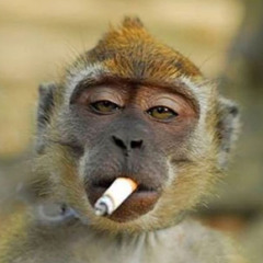 zenamo 🧘‍♂️