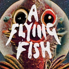A Flying Fish