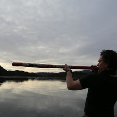 Sounds that connect to a more-than-human world