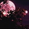 ✦ phliphone