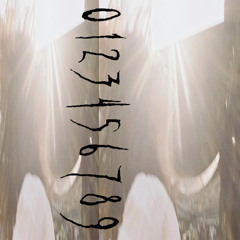 9inedontdothis