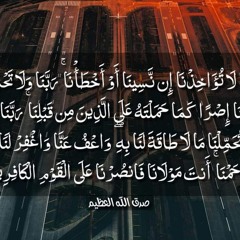 bosy zein