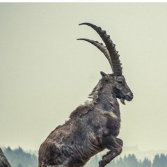 infinity_raps🇿🇦