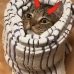 horul horul uyudum