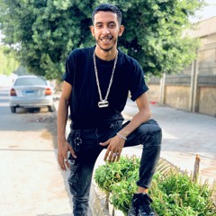Mahmoud S. Mahmoud