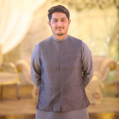 Pallu Sambhal Gori Sarak  Sarak - Spark