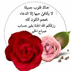 rania 3alam