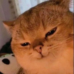 Triple X AMS (Prod by Major)