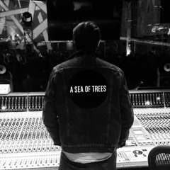 Nick Adams / A Sea of Trees