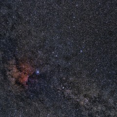 tired being like you my personality didn't like it