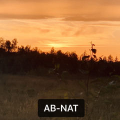 AB-NAT