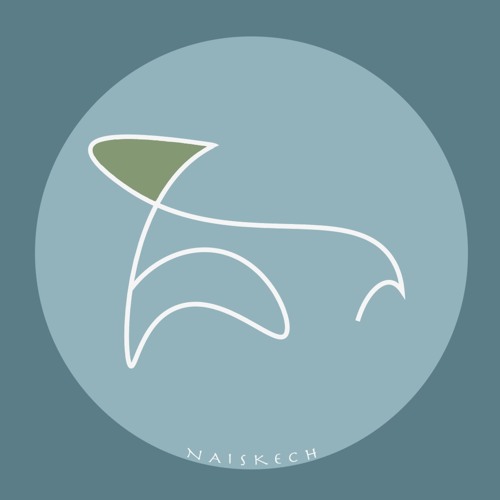 naiskech’s avatar