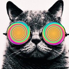 t0lkim
