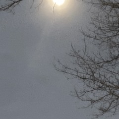 kanaxan - dead presidents