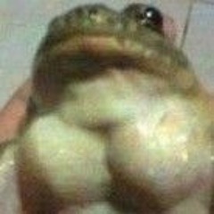 BUFF FROG