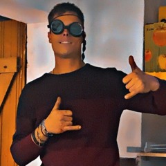 Hansi Flex