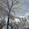 User 485019129Me