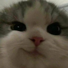 Feėlıng MaĐ