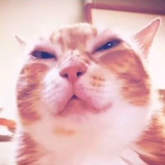 L0LAAAAA♡