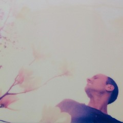 Lyubomir Brashnenkov