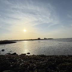 Larsky