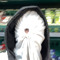 GHOUL