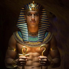 Arch. KSD   𓆼 𓄿 𓃭 𓂧 𓀀