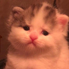 Nguyễn Đăng Toàn