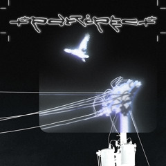partipec + syorin - trk00001
