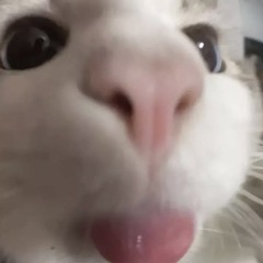 4444