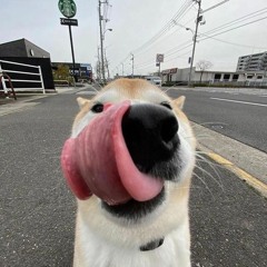 milo