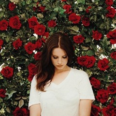 🌺𝑺𝒂𝒇𝒂