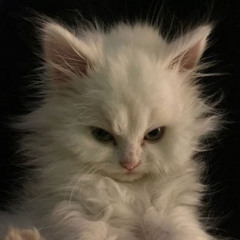 itzu3