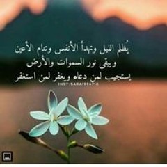 Houda Mehlab