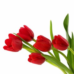 Raghad Hamad 99