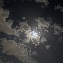 - َS🦇. ً