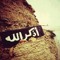 Amr Khedr