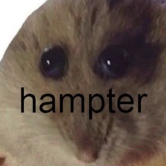 Hampter