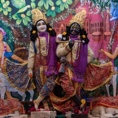 Parthsarthi Krishnatrey