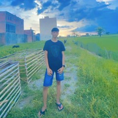 Alparis