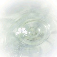 lightgarden