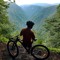 Navid_Butterfly