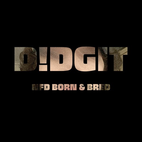 D!DGIT’s avatar
