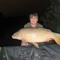 Harry Henshall