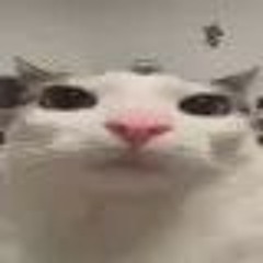 sheluvsalt
